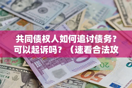济南共同债权人如何追讨债务？可以起诉吗？（速看合法攻略）
