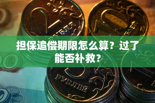 济南担保追偿期限怎么算？过了能否补救？